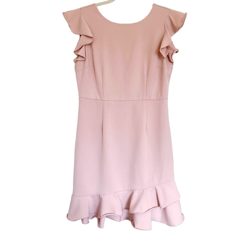 TCEC Blush Ruffle Sleeve Mini Dress